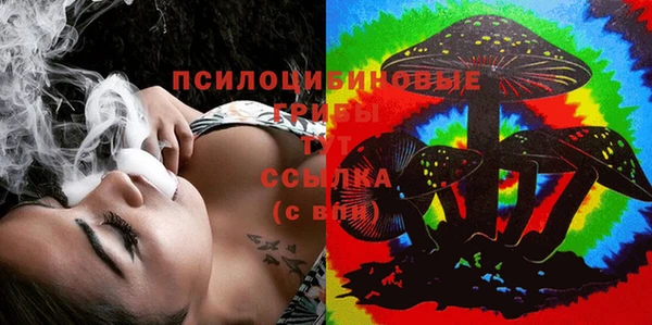 дживик Нестеровская