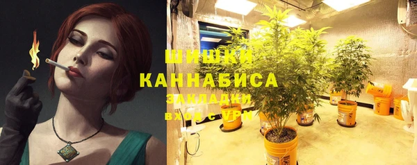 дживик Нестеровская