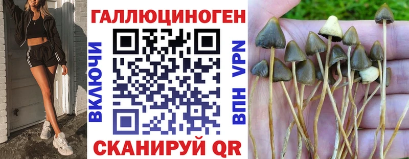 Галлюциногенные грибы Magic Shrooms  Купить  Аксай 